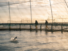 Jonas Nefzger Photography