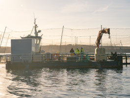 Jonas Nefzger Photography