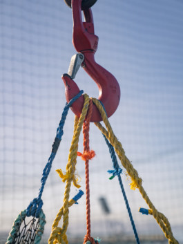 Jonas Nefzger Photography