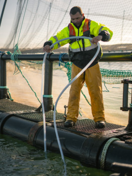 Jonas Nefzger Photography