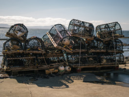 Jonas Nefzger Photography