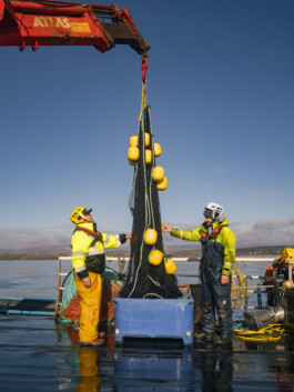 Jonas Nefzger Photography