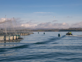 Jonas Nefzger Photography