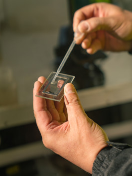 Jonas Nefzger Photography