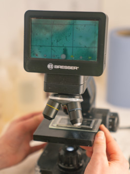 Jonas Nefzger Photography