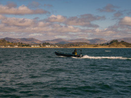 Jonas Nefzger Photography