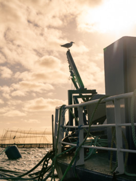 Jonas Nefzger Photography