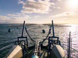 Jonas Nefzger Photography