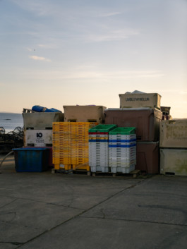 Jonas Nefzger Photography