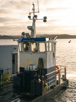 Jonas Nefzger Photography