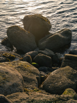 Jonas Nefzger Photography