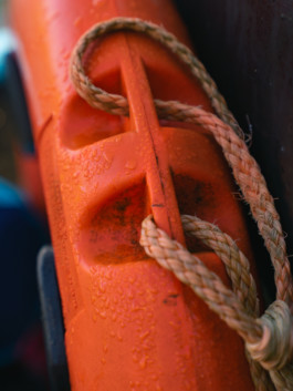 Jonas Nefzger Photography