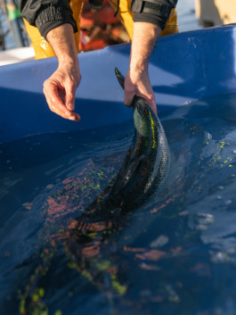 Jonas Nefzger Photography