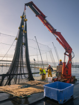 Jonas Nefzger Photography