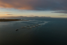 Jonas Nefzger Photography