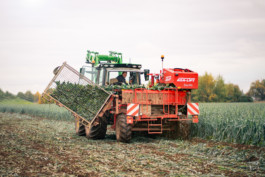 Jonas Nefzger Photography