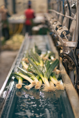 Jonas Nefzger Photography