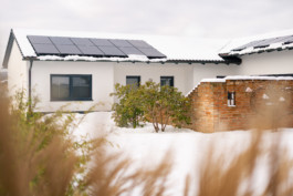 Jonas Nefzger Photography